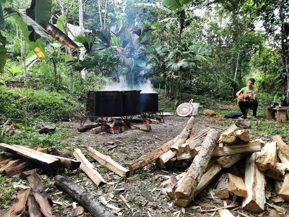 14 Day Ayahuasca & Master Plant Dieta