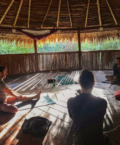 ¿Cómo se complementan la ayahuasca y el yoga?