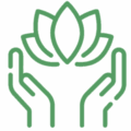 holistic-icon-370x370-1-300x300